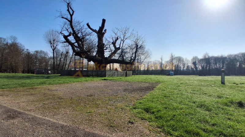 Theobalds Park Campsite