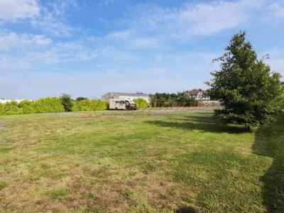 Tudor Springs Certificated Location