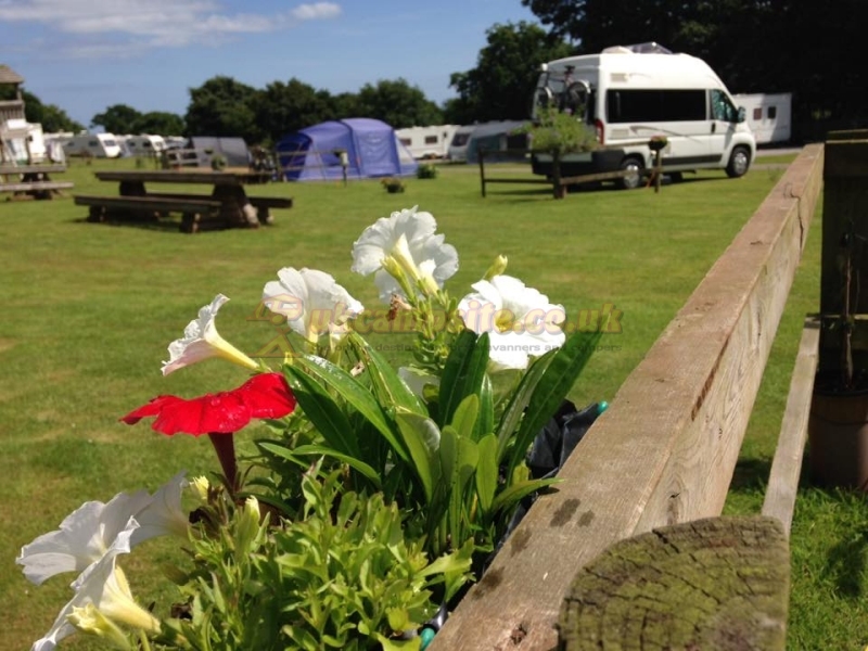 Pooh Cottage Holiday Park