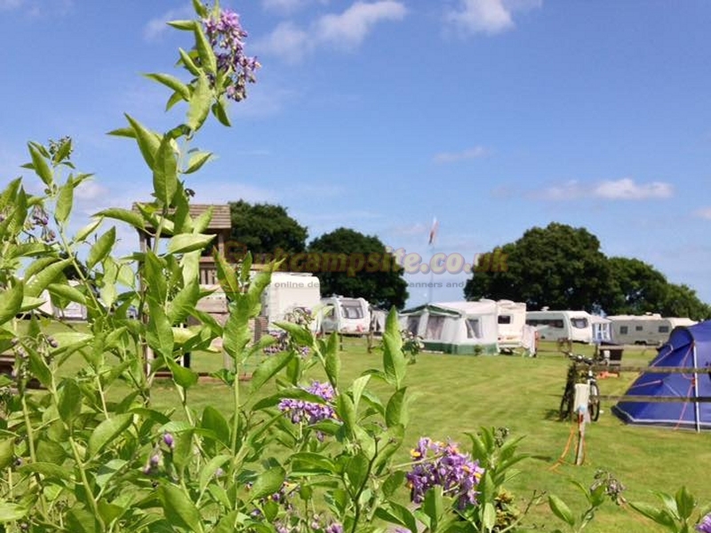 Pooh Cottage Holiday Park