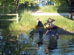 Fforest Fields Caravan And Camping Park