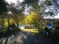 Fforest Fields Caravan And Camping Park