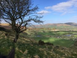 Fforest Fields Caravan And Camping Park