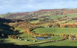 Fforest Fields Caravan And Camping Park