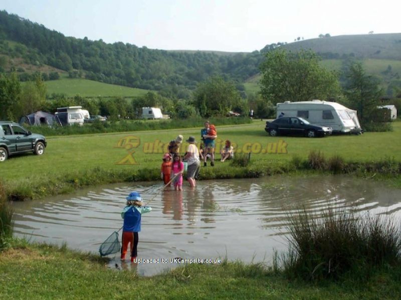 Fforest Fields Caravan And Camping Park
