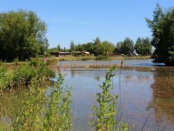 Orchard Park Camp Site