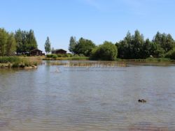 Orchard Park Camp Site