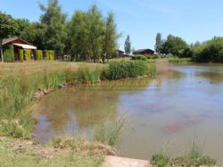Orchard Park Camp Site