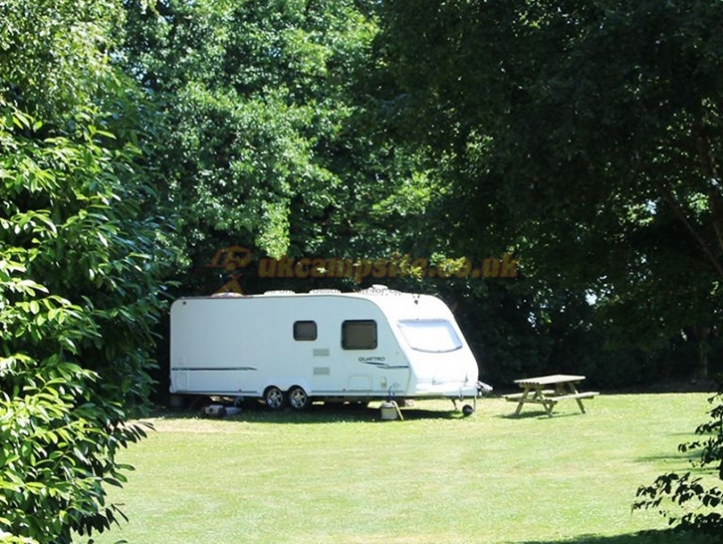 Orchard Park Camp Site