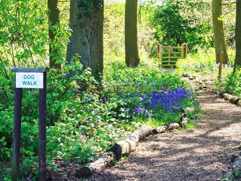 Somers Wood Caravan Park