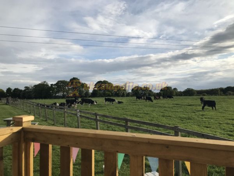 Butt Farm Caravan Camping And Glamping Site