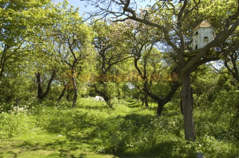 Jockhedge Holiday Cottages And Touring Site