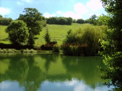 Newberry Valley Park