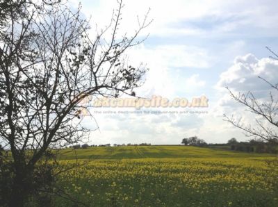 Syerscote Meadow Certificated Site
