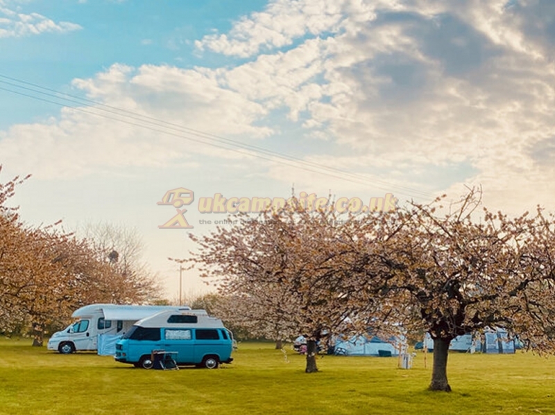 Painters Farm Campsite