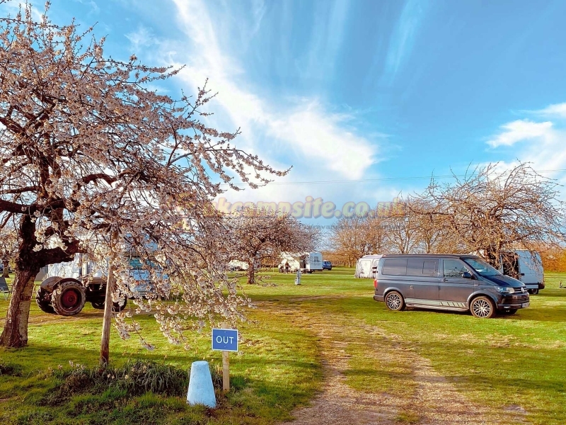 Painters Farm Campsite