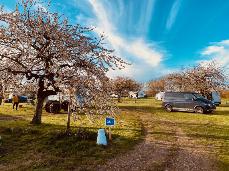Painters Farm Campsite