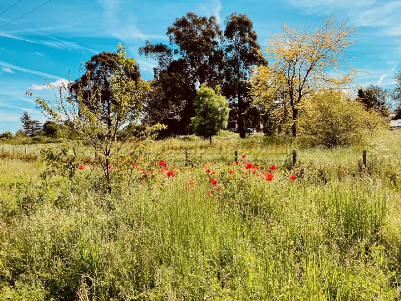 Painters Farm Campsite