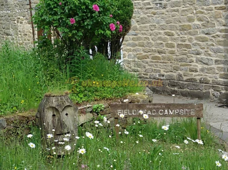 Fieldhead Campsite