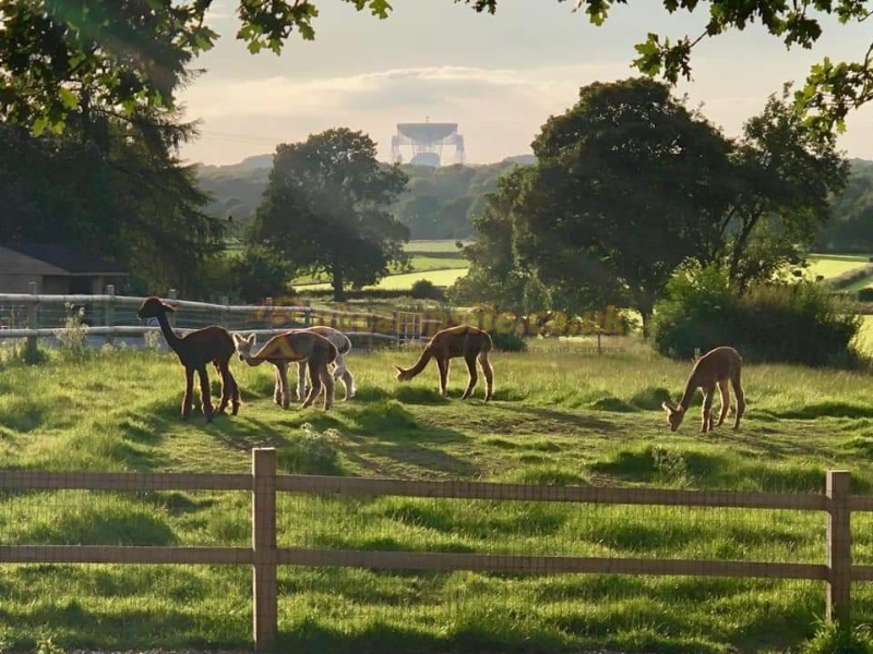 Welltrough Hall Farm Certified Location