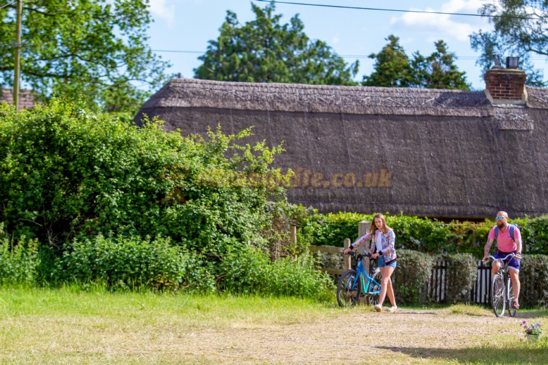 Harrys Field Campsite