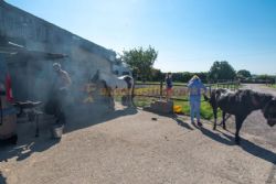 White Hill Farm Caravan Park