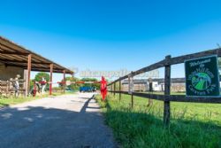 White Hill Farm Caravan Park