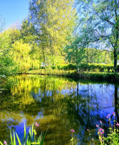 Wood Lake Campsite And Caravan Park