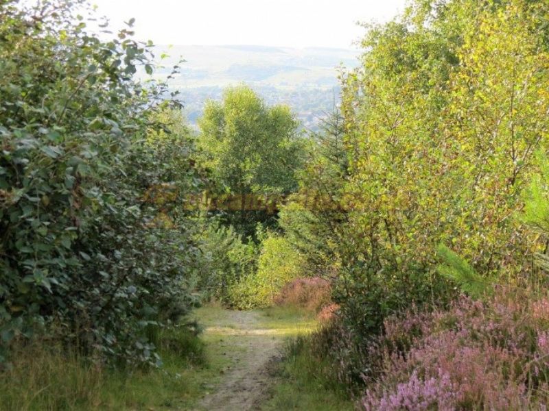 The Wheel Caravan Park And Campsite