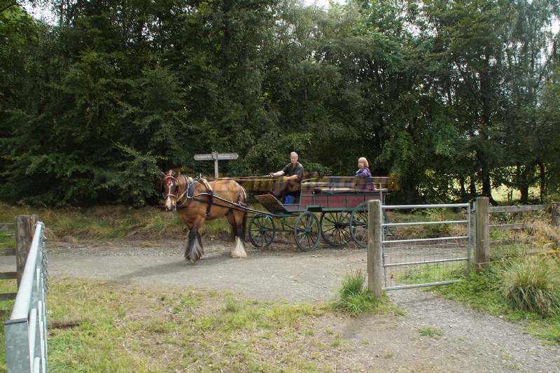 The Wheel Caravan Park And Campsite