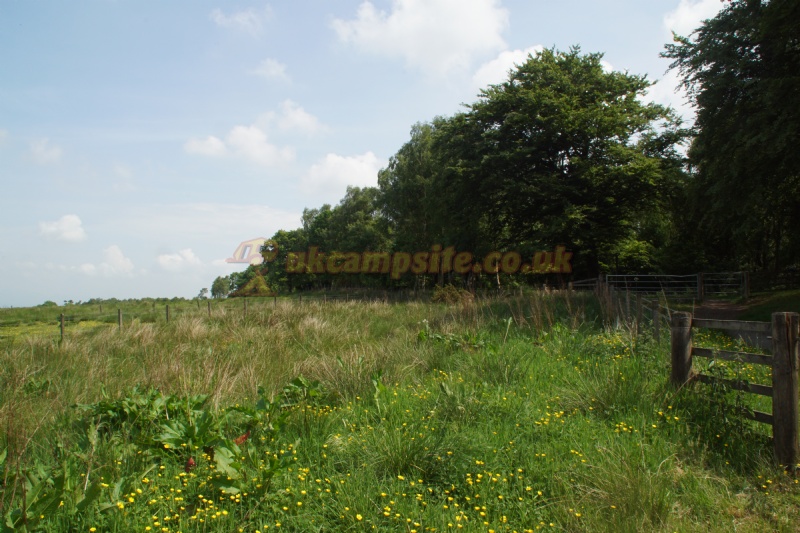 The Wheel Caravan Park And Campsite