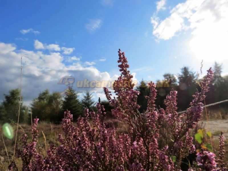 The Wheel Caravan Park And Campsite