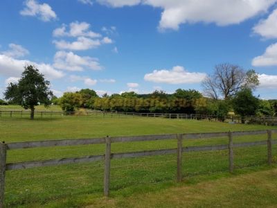 Manor Farm Camping
