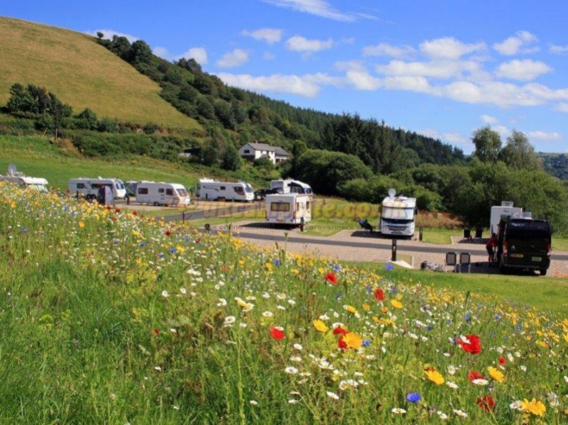 Red Kite Touring Park