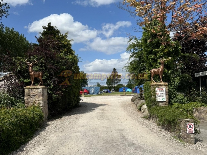 Sunnyside Caravan And Camping Site