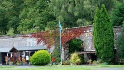 The Walled Garden Touring Park
