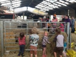 Exmoor Camping Westermill Farm