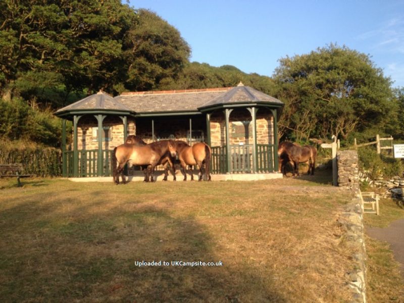 Exmoor Camping Westermill Farm