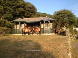 Exmoor Camping Westermill Farm