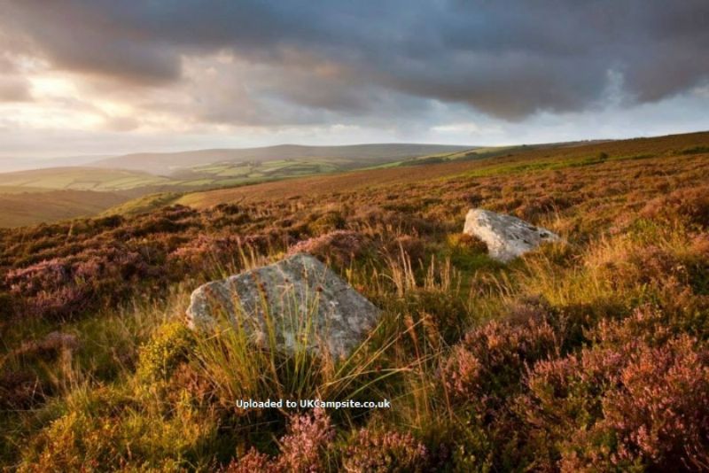 Exmoor Camping Westermill Farm