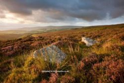 Exmoor Camping Westermill Farm
