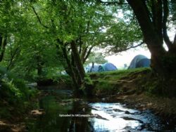 Exmoor Camping Westermill Farm