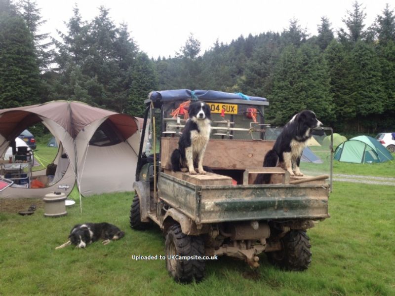 Exmoor Camping Westermill Farm