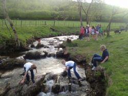Exmoor Camping Westermill Farm