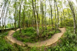Woodhouse Farm Caravan Park