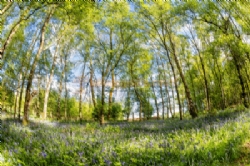 Woodhouse Farm Caravan Park