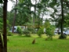 Camping Vert Bord Eau