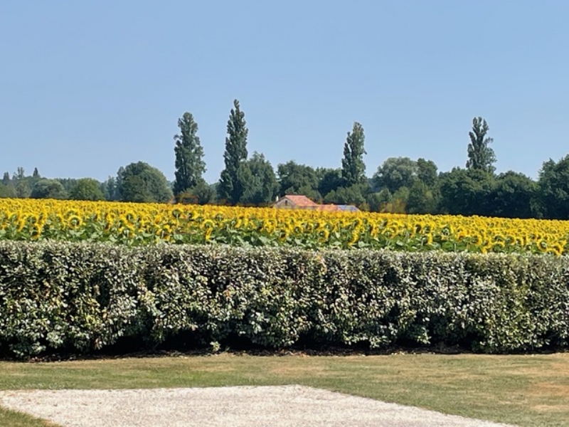 La Grande Evasion At Haute Epine