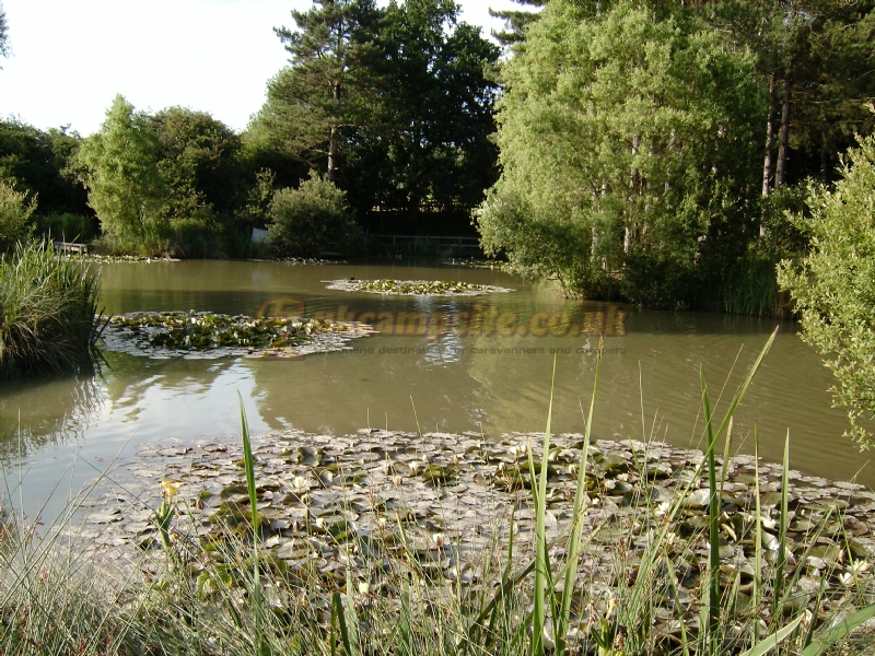 Alderwood Ponds Fishery