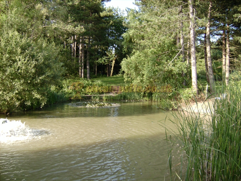 Alderwood Ponds Fishery